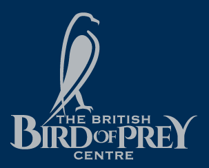 The British Bird of Prey of Centre