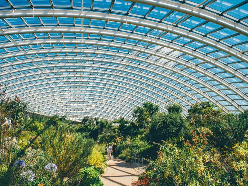 GREAT GLASSHOUSE