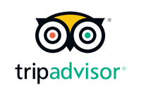 Birds of Prey TripAdvisor No 1 in Carmarthenshire