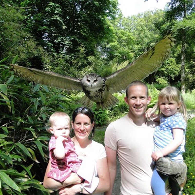 Owl Experience