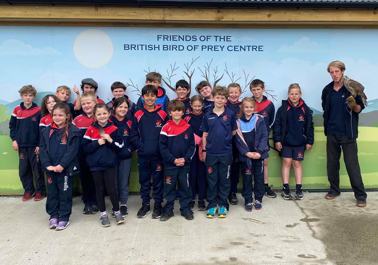 School visit at The British Bird of Prey Centre