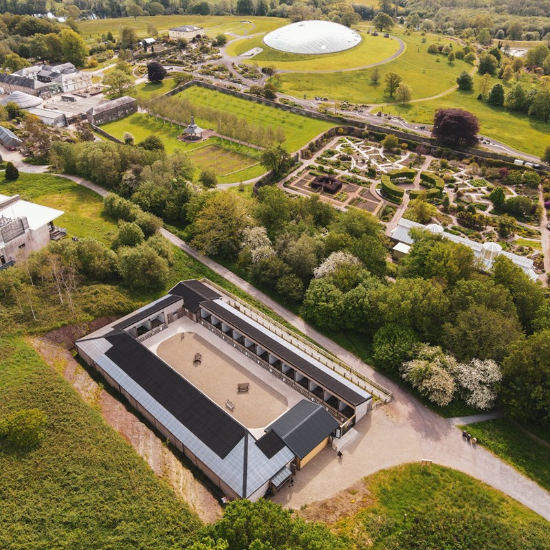 Birds of prey experiences in Wales, Things to do