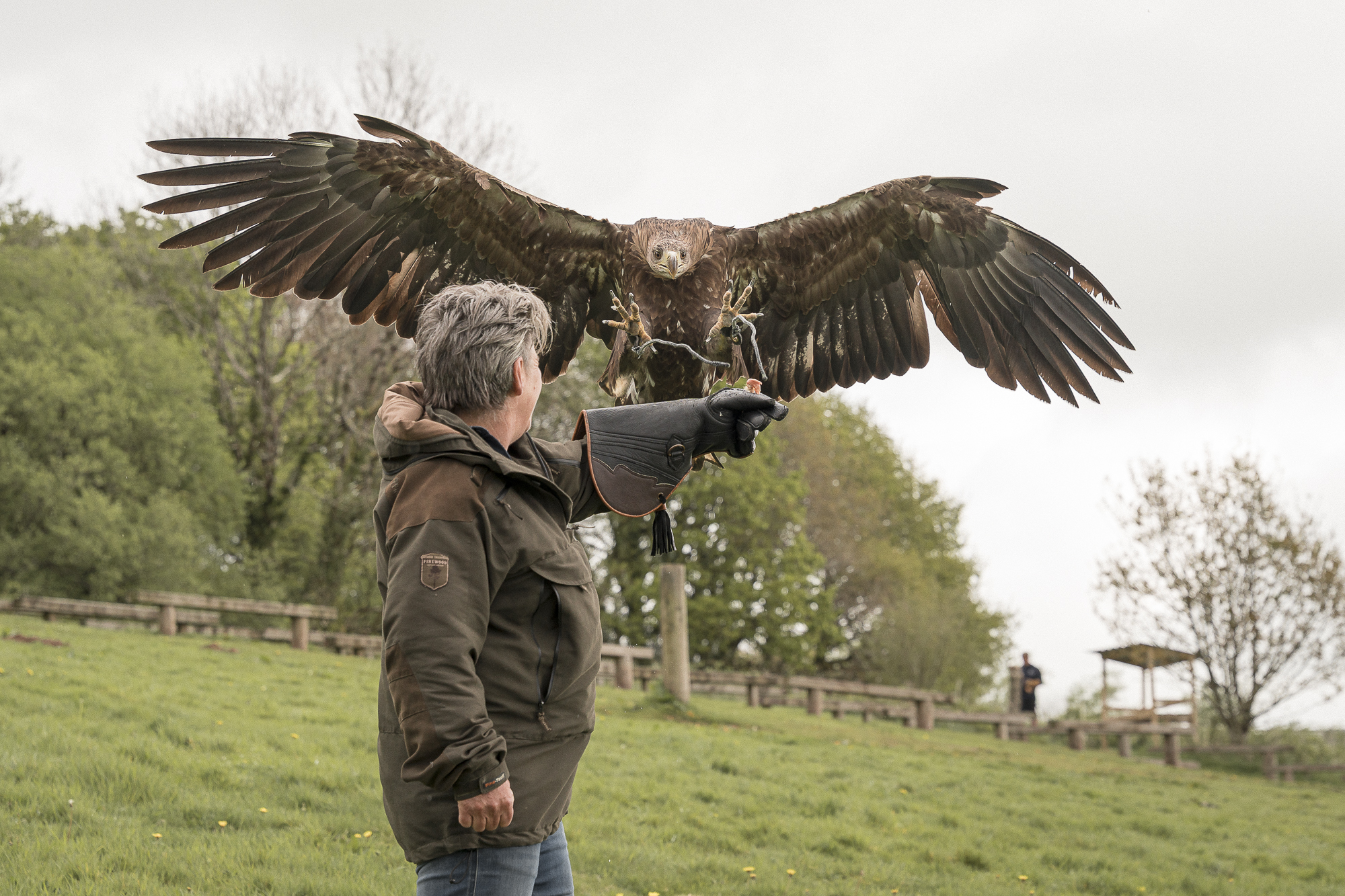 Eagle Experience Wales