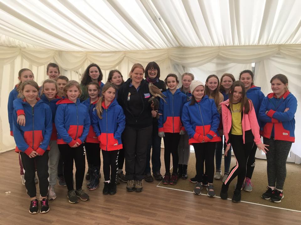 Cubs - Scouts - Brownies - Guides